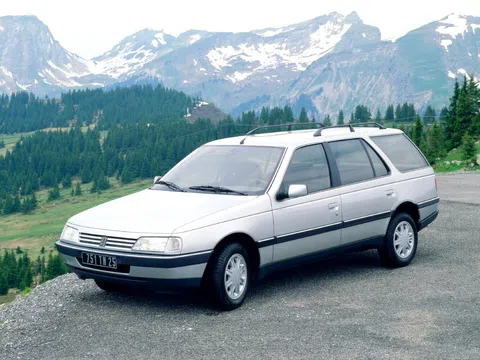 Peugeot 405 1.9 AT (102 ც.ძ.) · ვაგონი 5 კარიანი