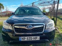 Subaru Forester 2014, Poti