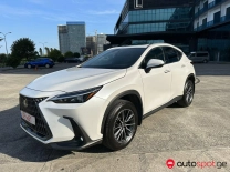 Lexus NX 2022